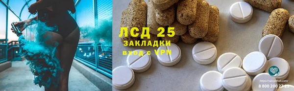 дмт Магас