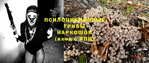PSILOCYBIN Абаза