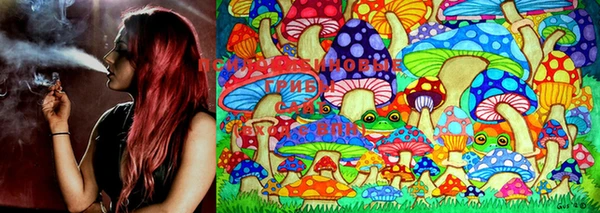 PSILOCYBIN Абаза