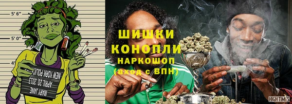 PSILOCYBIN Абаза
