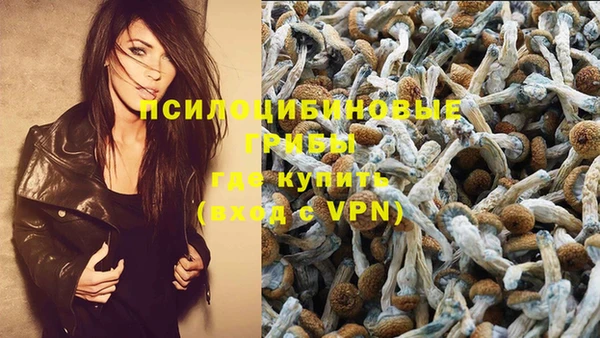 PSILOCYBIN Абаза