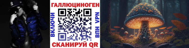 ссылка на мегу как войти  Сысерть  Псилоцибиновые грибы прущие грибы 
